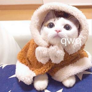 日本男男Gay FuCK激情
